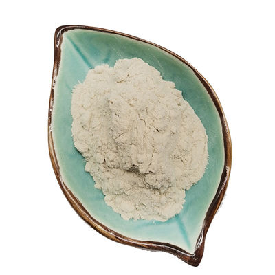 Ανακαλύψτε την ευελιξία του 100Mesh 200Mesh 325Mesh Diatomite Powder